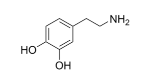 What is dopamine