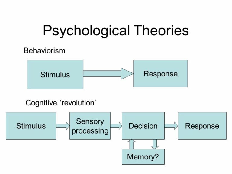 psychological-theory-definition-an-overview