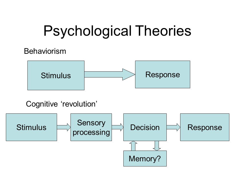 What Is A Psychological Model At Dawn Lovelace Blog What Is A Psychological Model At Dawn Lovelace Blog