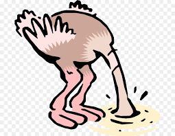 denial input ostrich