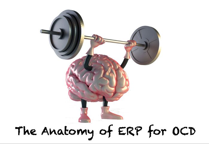 ERP Therapy for OCD: A Comprehensive Guide