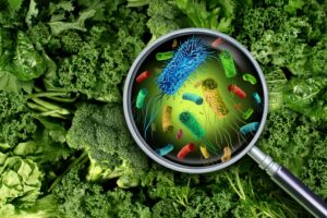 What Is OCD Food Contamination?