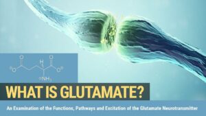 What Is Glutamate