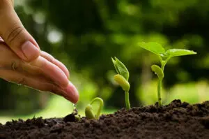 Start small