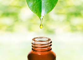 Choose an oil with a calming effect