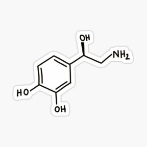 norepinephrine