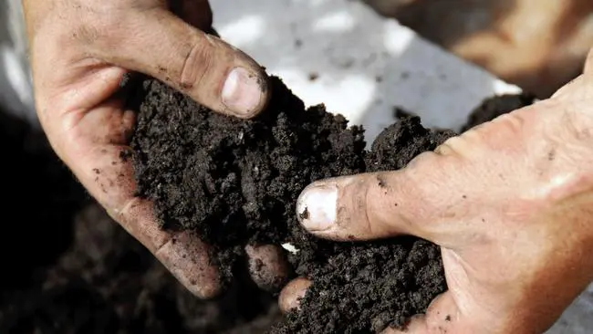 Impacts of Eating Dirt Disorder