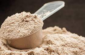Importance Of Protein Shakes For Weight Loss