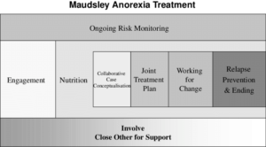 Phases Of the Maudsley Method