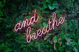 Self-Care Strategies