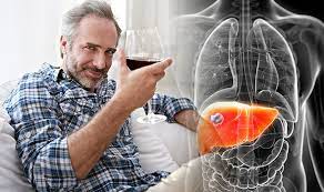 Too much alcohol can damage your liver