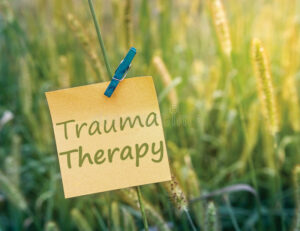 define trauma therapy