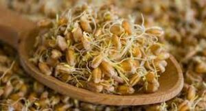 Wheat germ