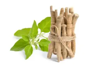 What Is Ashwagandha?