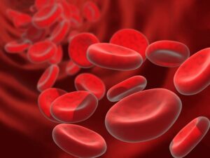 Boosting your red blood cell count