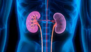 Chronic kidney disease