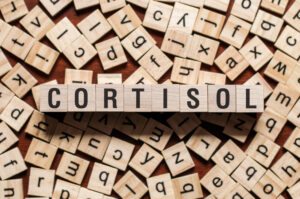 Cortisol and Weight Gain: The Connection You Need to Know