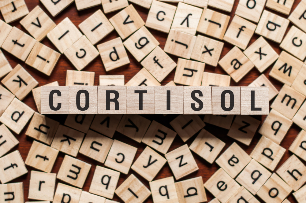 Cortisol and Weight Gain: The Connection You Need to Know