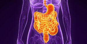 Help Regulate Your Digestive System