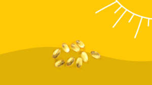 How Much Vitamin D Should You Take?