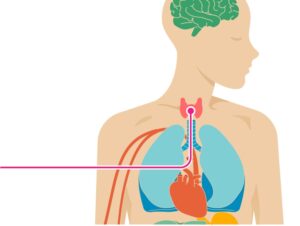 Thyroid and Depression: What You Need to Know