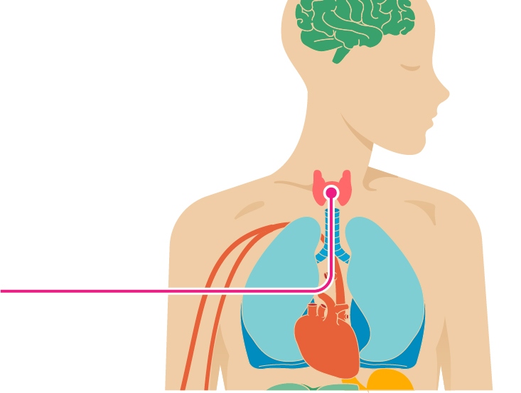 Thyroid and Depression: What You Need to Know