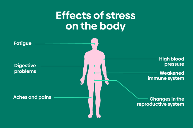Physical Effects of Stress | Managing Physical Effects of Stress