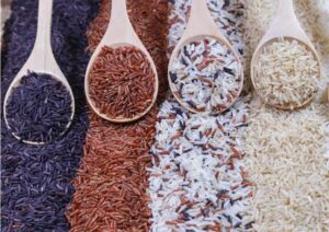 Understanding Rice