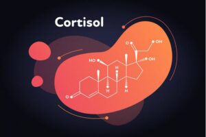 What Is Cortisol?