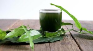 9 Science-Backed Benefits of Chlorophyll Drops for Weight Loss