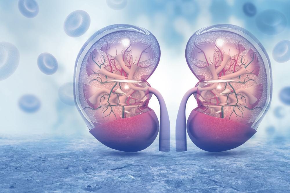 The Risk of Kidney Disease in Diabetes: What You Need to Know