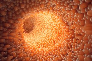 What Are Digestive Enzymes?