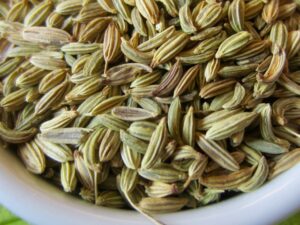 What Are Fennel Seeds?