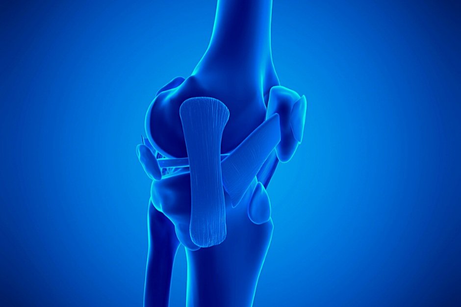 Medial Patellofemoral Ligament (MPFL): How Can You Manage It