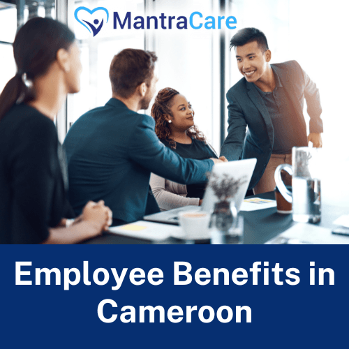 Employee Benefits in Cameroon