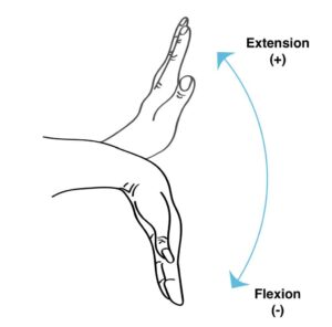 Wrist flexion