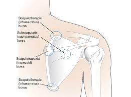 What Is Snapping Scapula Syndrome?