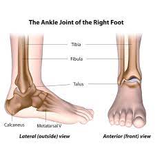 How Do You Know If You Have Sprain In Your Ankle?