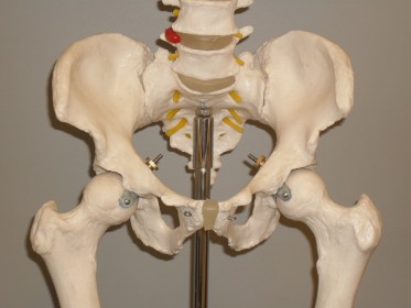Pelvis Injuries: Causes, Symptoms, and Treatment