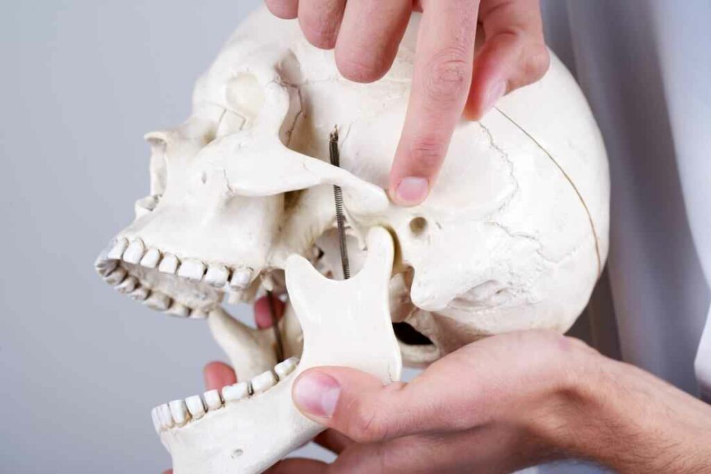 How to Find the Best TMJ Physical Therapy Near Me