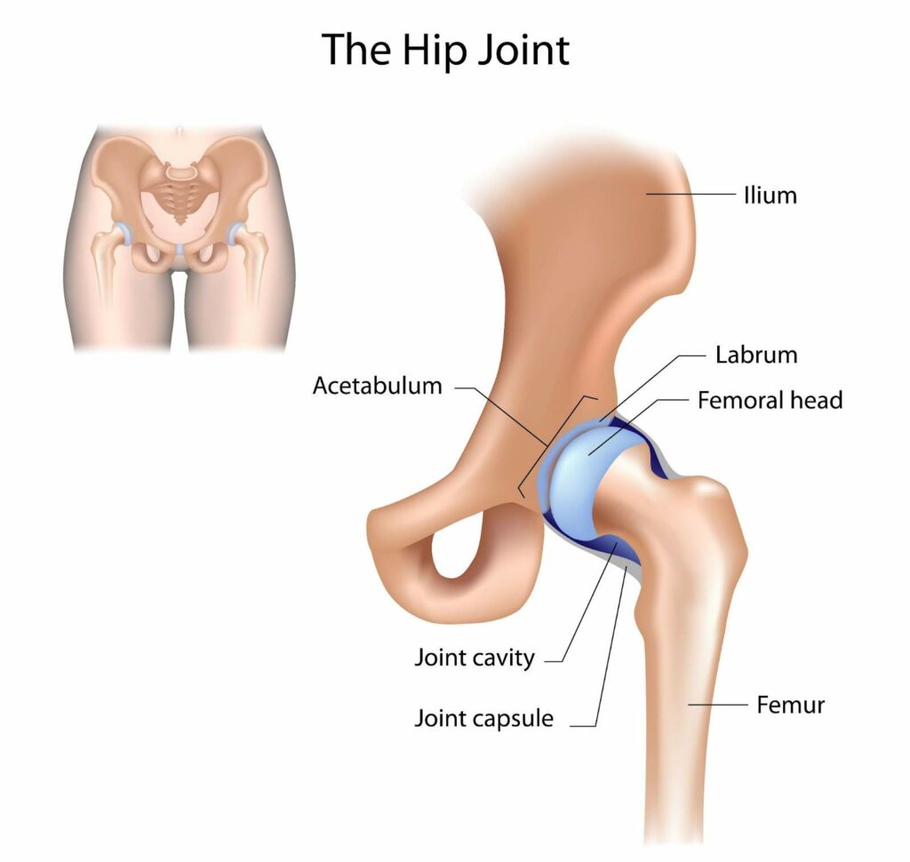 5 Tips To Prepare For Hip Arthroscopy And Things You Can Expect