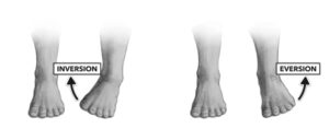 Ankle Eversion