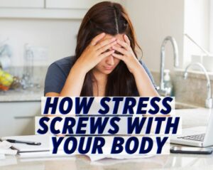 Effects of Stress On The Body