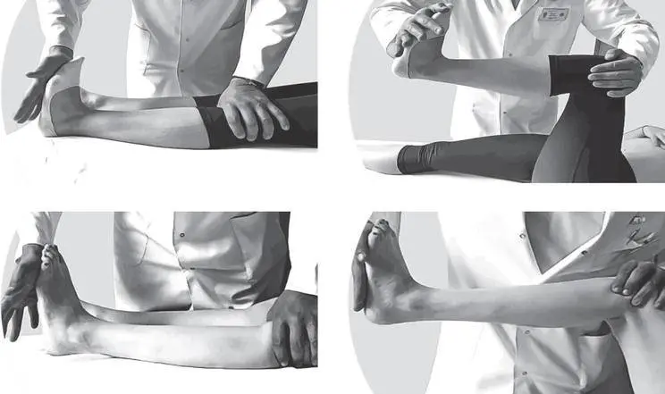 modified ashworth scale leg test