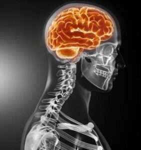 How To Take Physical Therapy For Traumatic Brain Injury?