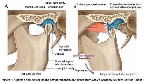 TMJ Physical Therapy - What It Is And What Are The Best Exercises