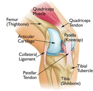 What Is Kneecap Pain?