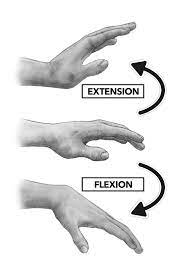 Wrist Extension