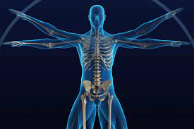 What Is Orthopedic physical therapy?
