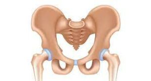 What Is A Crack In The Pelvic Bone?